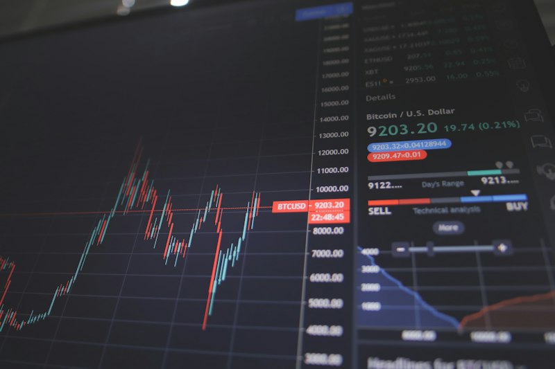 Person reviewing financial charts and investment data on computer screen